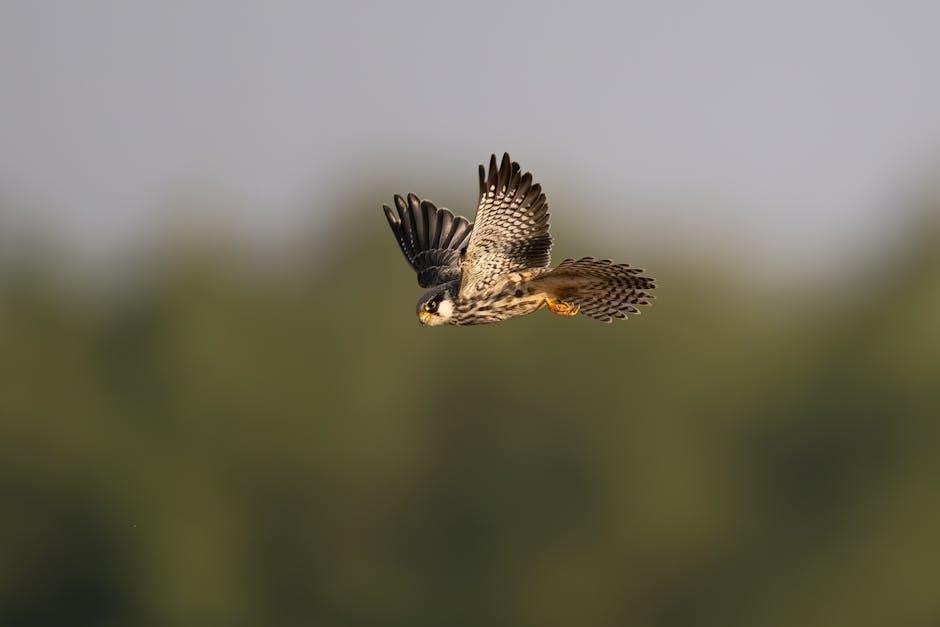 a guide to coin hunting